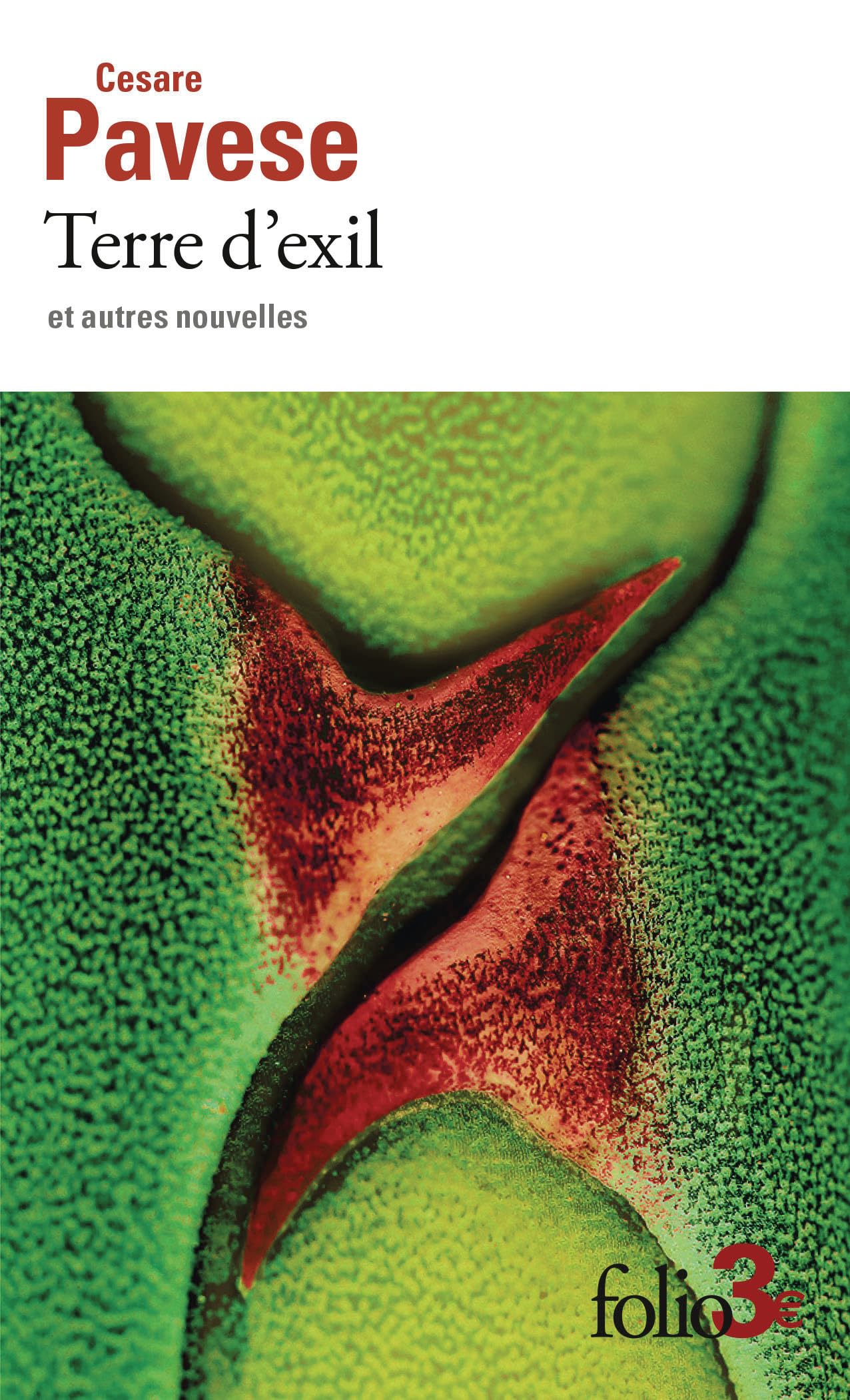 Terre d'exil et autres nouvelles