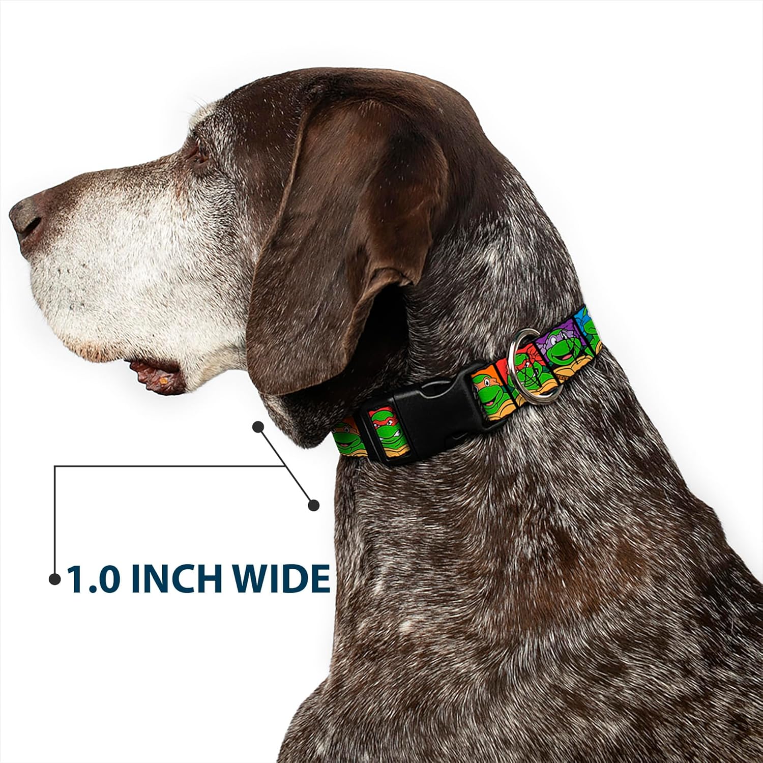 Buckle-Down Plastic Clip Collar - Classic TMNT Face Blocks Black/Multi Color - 1.5" Wide - Fits 18-32" Neck - Large