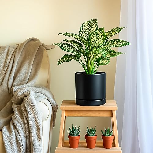 Miniatura 6 de D'vine Dev Juego de 2 macetas de cerámica de 8.2 pulgadas para plantas con orificio de drenaje y platillo, color negro, 94-V-D-2