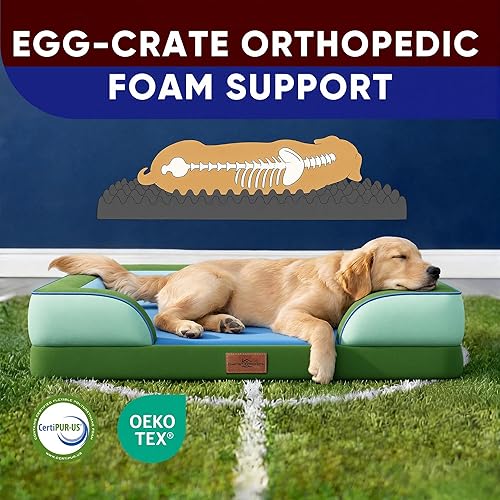 Miniatura 230 de Comfort Expression - Cama ortopédica para perros extragrandes, 53 x 42 pulgadas, cama impermeable y de apoyo de espuma con cojines removibles, con