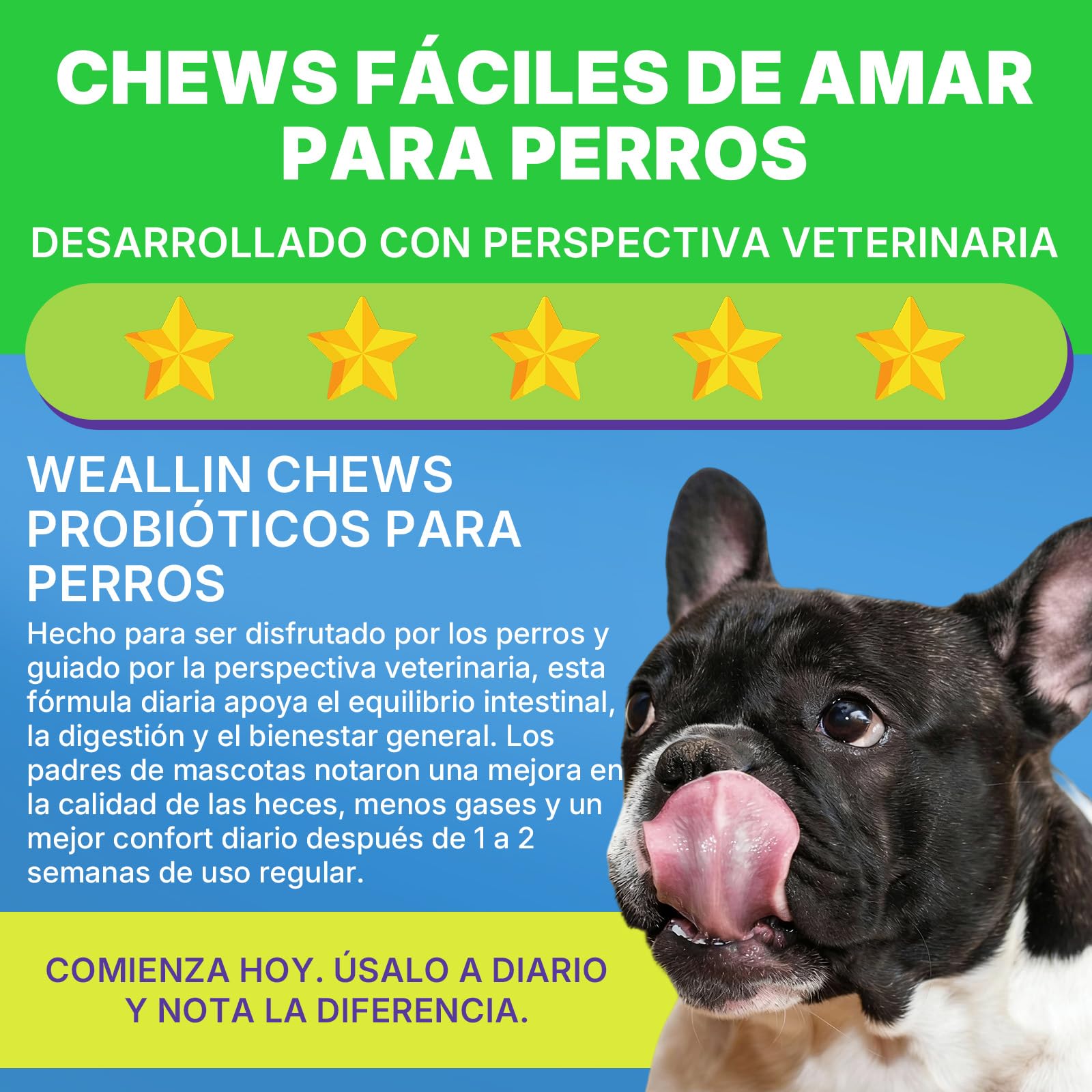 Probióticos para Perros, Prebióticos para la Salud Intestinal – Apoya la Salud Digestiva y la Absorción de Nutrientes–200 Bocaditos Blandos que Apoyan la Salud de la Piel y el Bienestar General