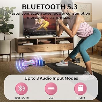 Portable Bluetooth Speaker IPX7 Waterproof Wireless 20H Playtime Speakers for Camping BT5.3 Small Bluetooth Speaker HD Loud for Outdoor Party Office Pink Gift (Pink)