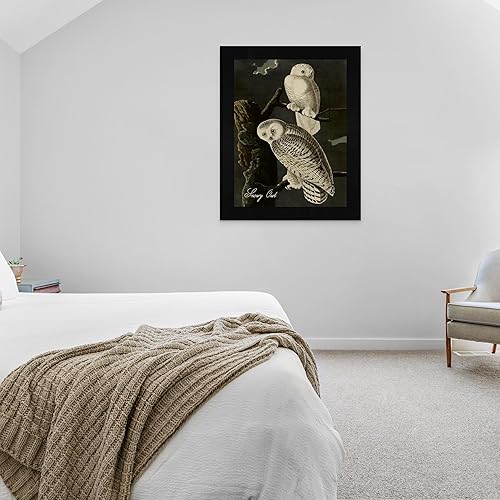 Vista 182 de Towee Bunting by James Audubon - Marco biselado negro de 12 x 16 pulgadas, decoración artística enmarcada para pared, reproducción de pinturas