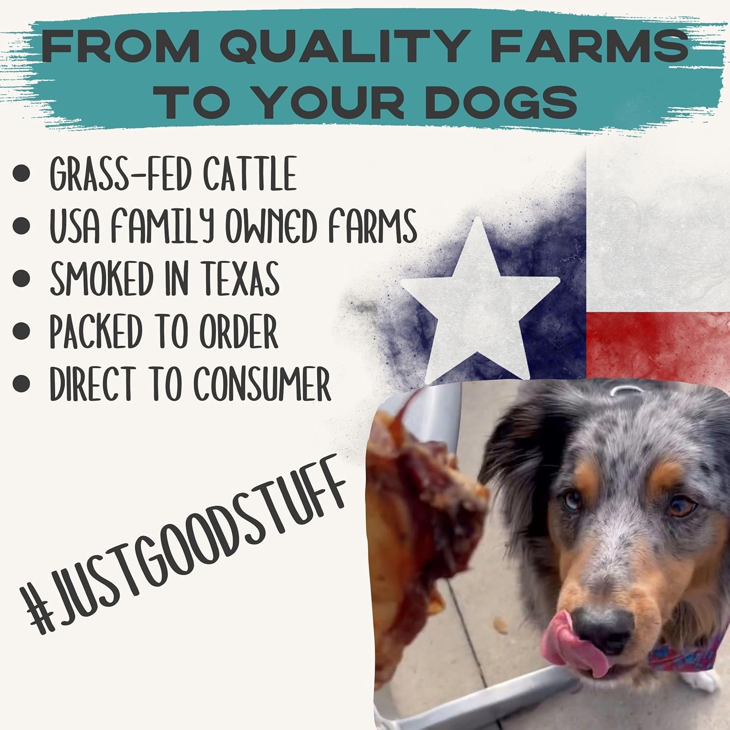 JACK'S PREMIUM Knee Cap Dog Bone - Made in USA All Natural Beef Chew - Long Lasting Meaty Bones for Large Dogs