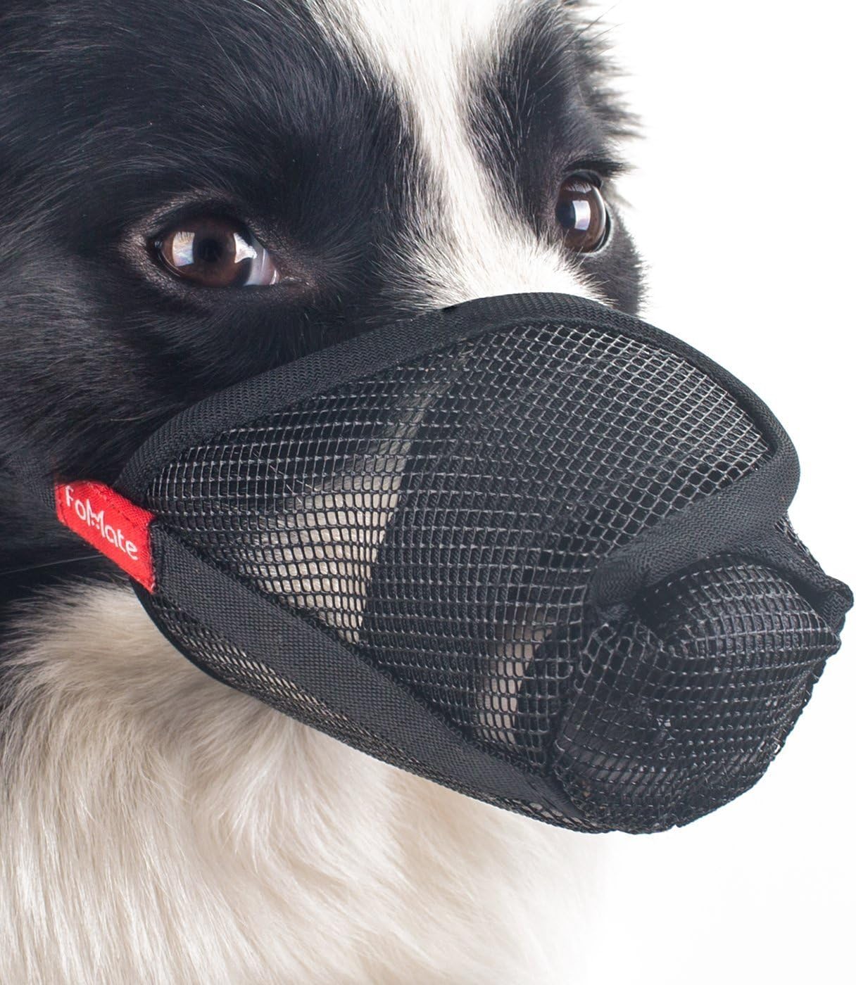 muzzle to stop eating