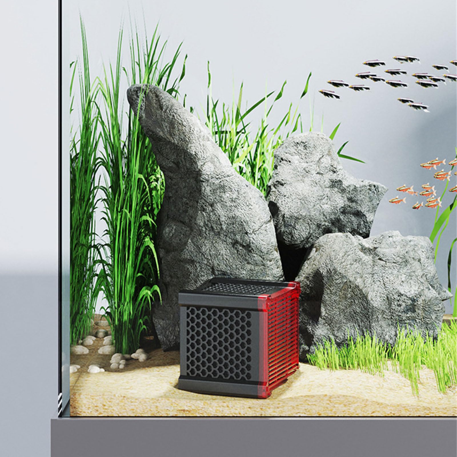 Acqua Potente per l ' Odore Pesce
