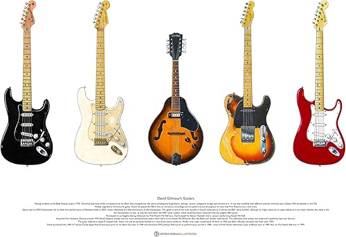 David Gilmoura  s Gitarren KUNSTPOSTER GrA AYe