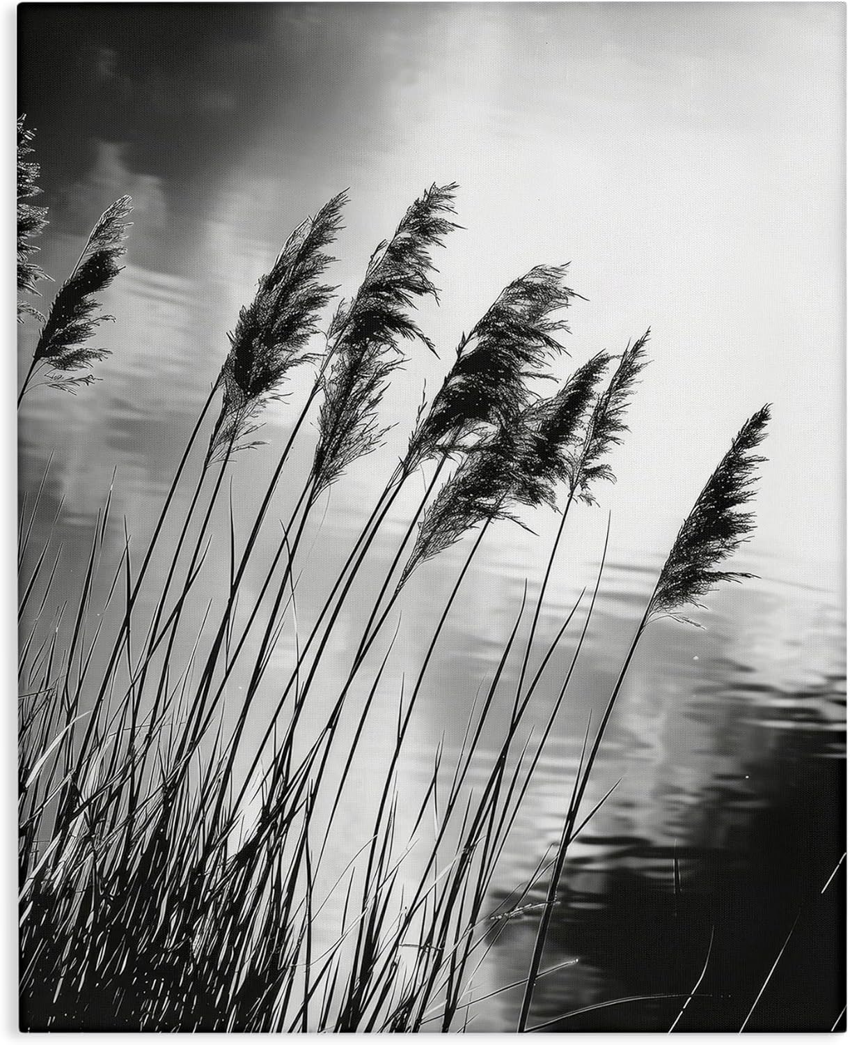 Stupell Industries Stark Contrast Wheat Canvas Wall Art Design by Petal Prints Design, 16 x 20