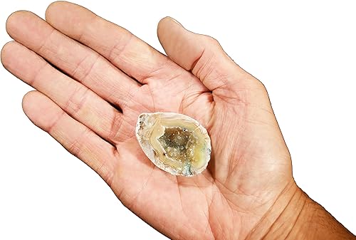 Rock Your Chakra OCO Geoda ágata natural de 2 pulgadas, rocas y minerales pulidos, cristales curativos de chakras de raíz, cristales y piedras