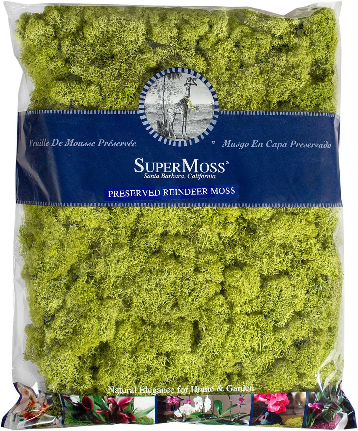 SuperMoss (21763) Reindeer Moss – Soft Preserved Moss for Home Decor, Crafts, Terrariums, Floral Design, and Wedding Decorations, 1,400 cu in, Chartreuse