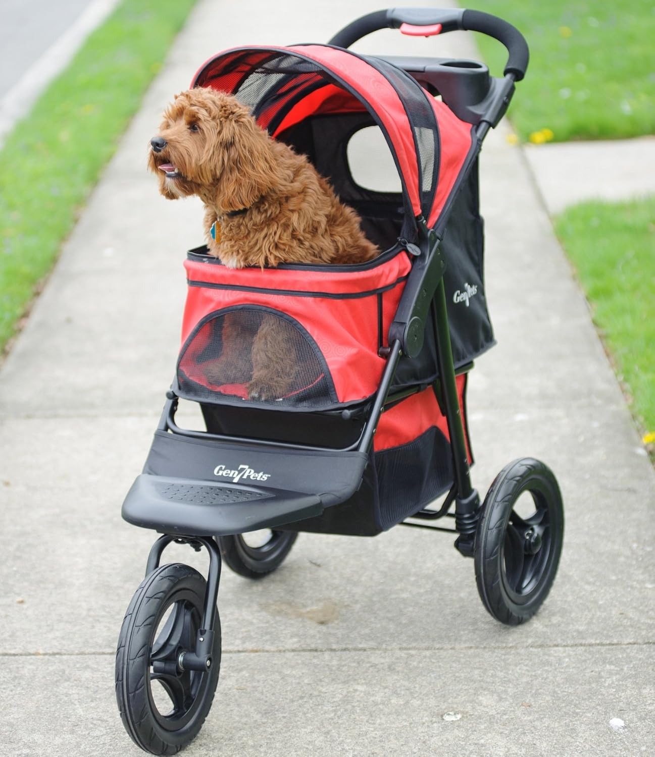 shock collar for golden retriever