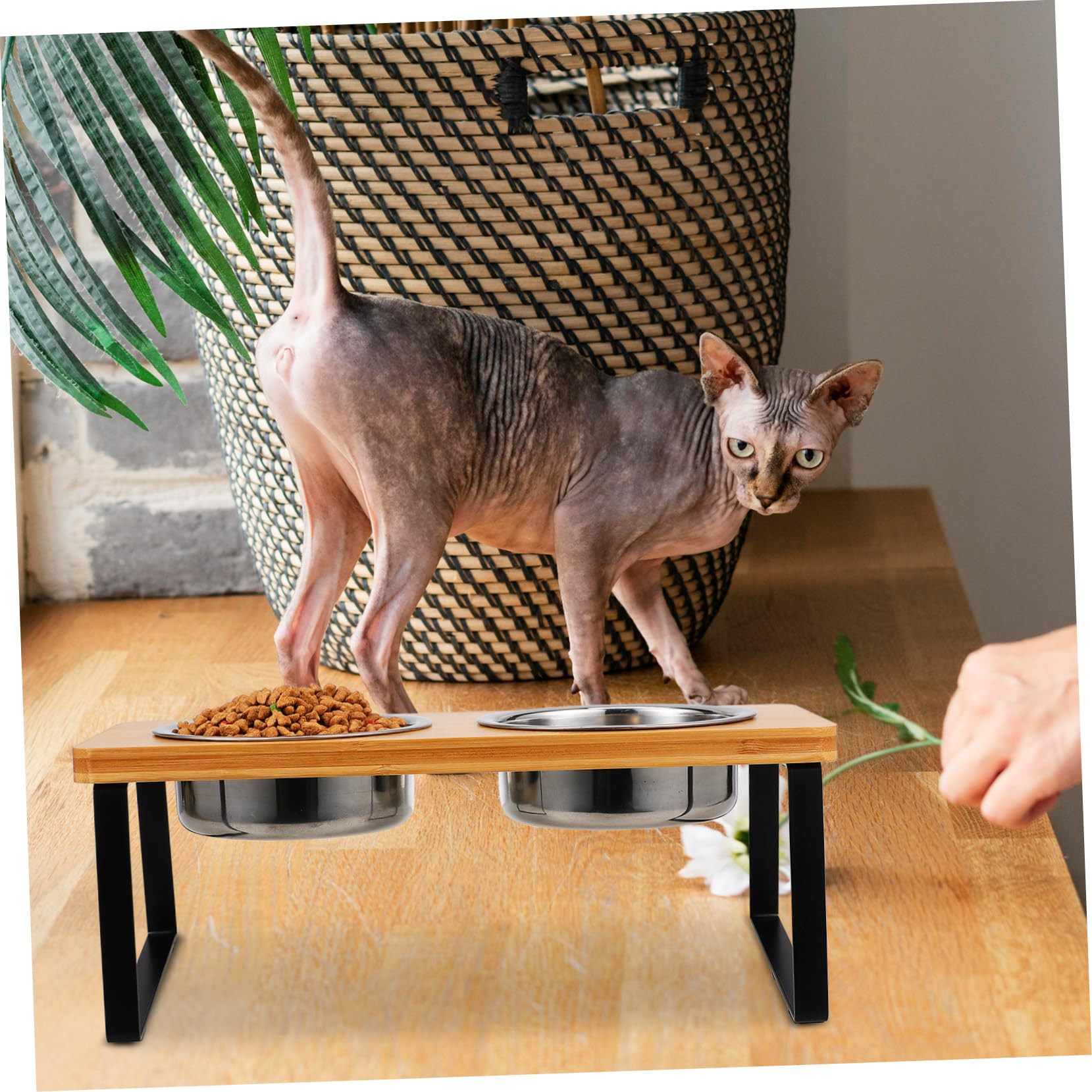 Comedero Elevado para Gatos con Doble Cuenco de Acero Inoxidable | Cuenco de Agua para Gatos, Doble Cuenco con Soporte, Estación de Alimentación para Gatos y Perros Pequeños de Interior