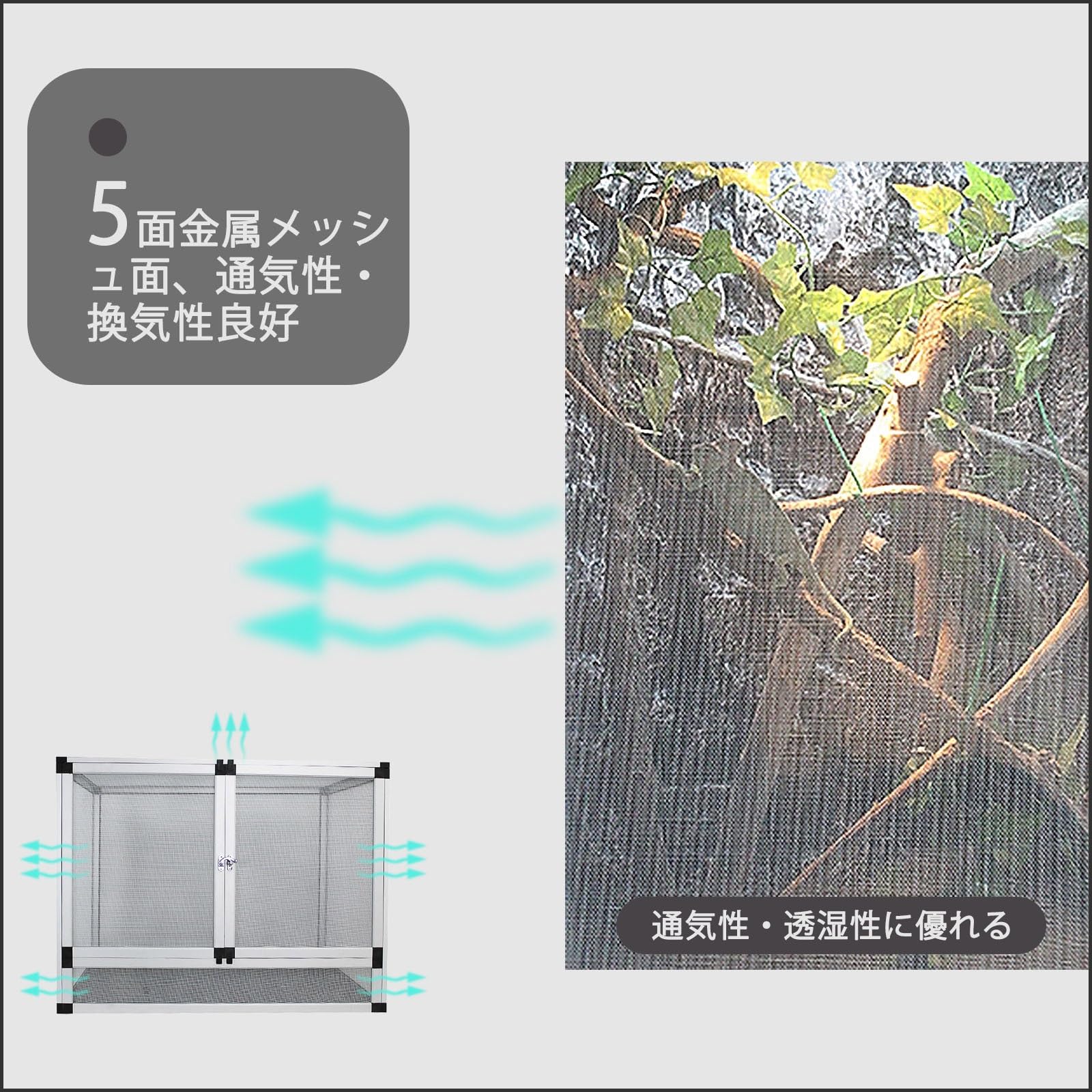 爬虫類ケージ 80×60×45㎝　レール茶　金網② ガラス面最大　ゲージ Amazon | トップテラ 爬虫類飼育ケージ TOP-60×45×60 | トップ