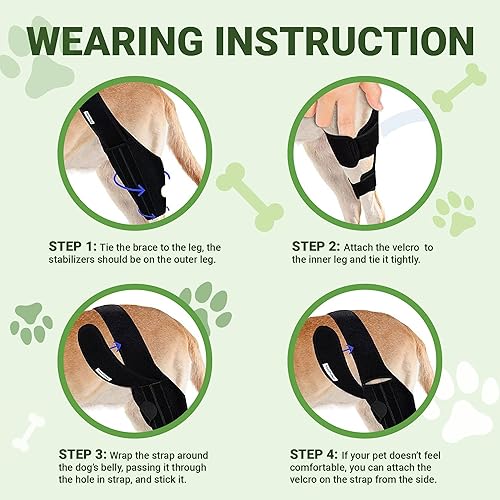 Miniatura 4 de HVSun Rodillera para perro para pierna trasera y trasera, soporte para perro ACL CCL Lesión del ligamento cruzado dolor articular y dolor muscular
