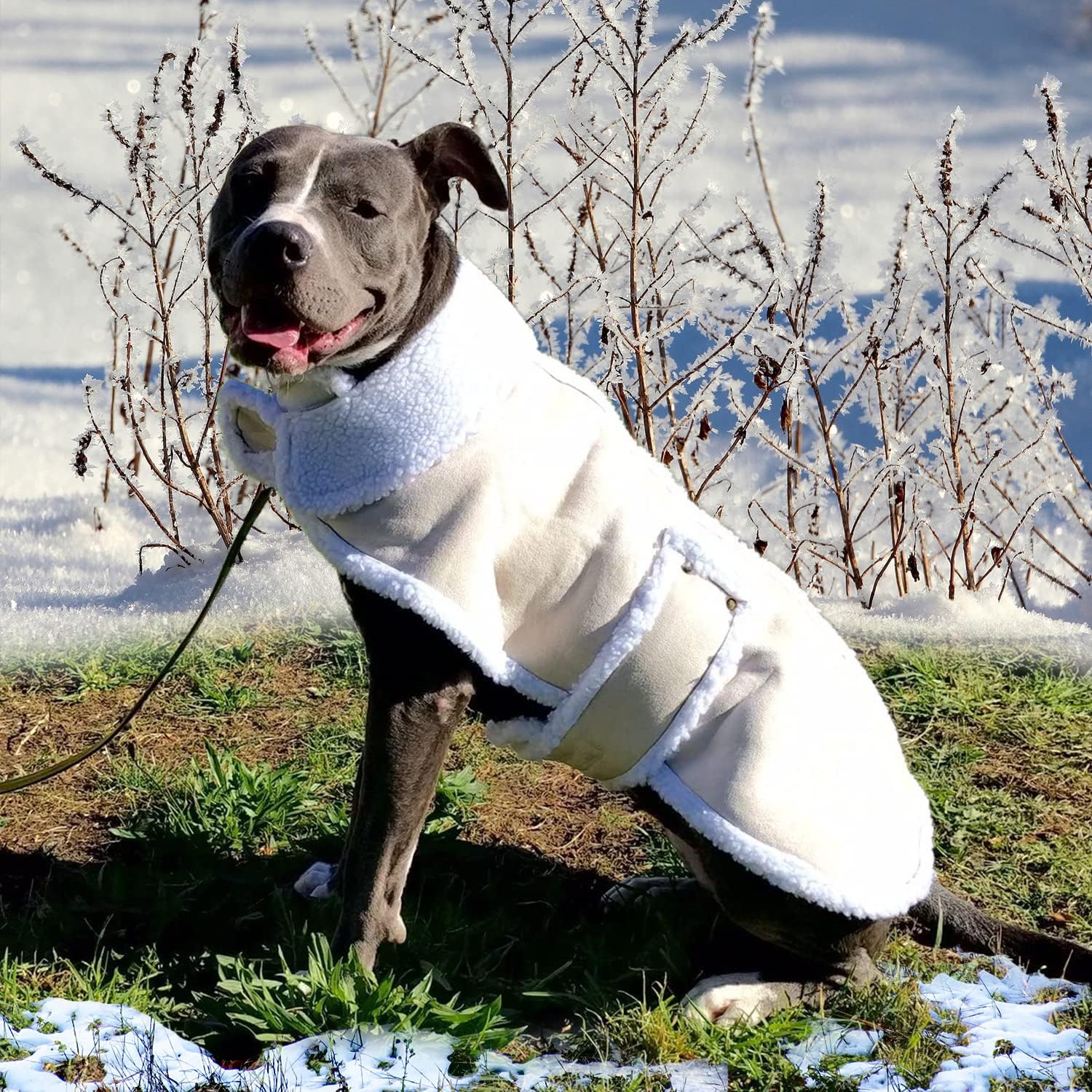 CT DISCOUNT STORE Shearling Fleece Dog Jacket Premium Quality (XX-Large)