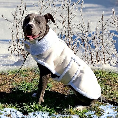 Chaquetas para Perros de Piel de Oveja de CT Tienda de descuento XL Beige