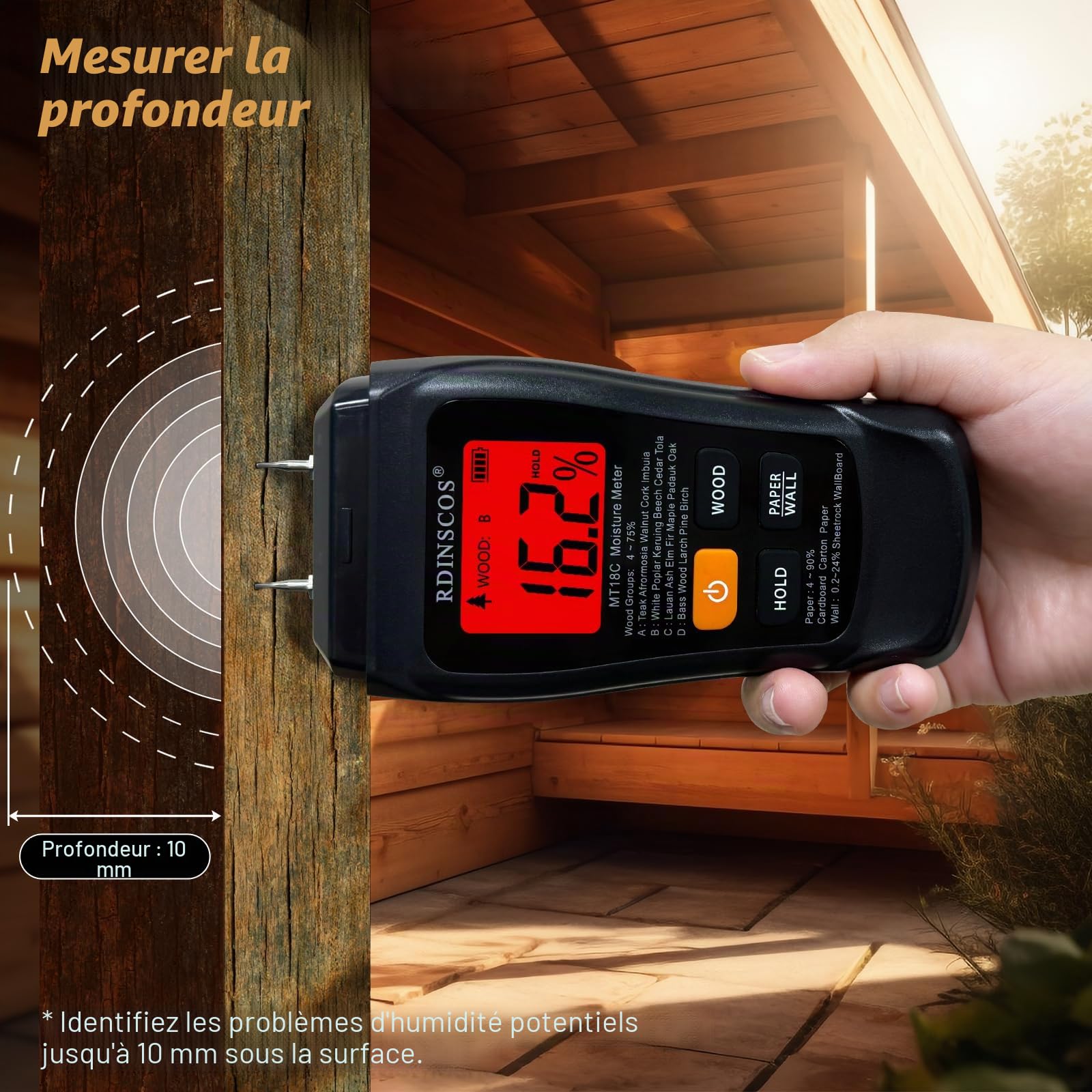 RDINSCOS Détecteur d'Humidité Hygromètre Professionnel avec Alarme Analyse Profondeur 0-10 mm pour Mur Bois Plâtre Maçonnerie