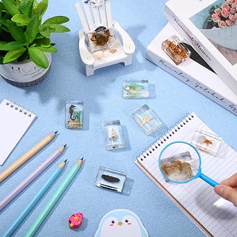9 Pcs Marine Ocean Life Specimen Set Term Begins for Gifts Sea Animal Insect in Resin Collection Paperweights with Magnifier Animal Specimen