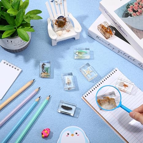 9 Pcs Marine Ocean Life Specimen Set Term Begins for Gifts Sea Animal Insect in Resin Collection Paperweights with Magnifier Animal Specimen