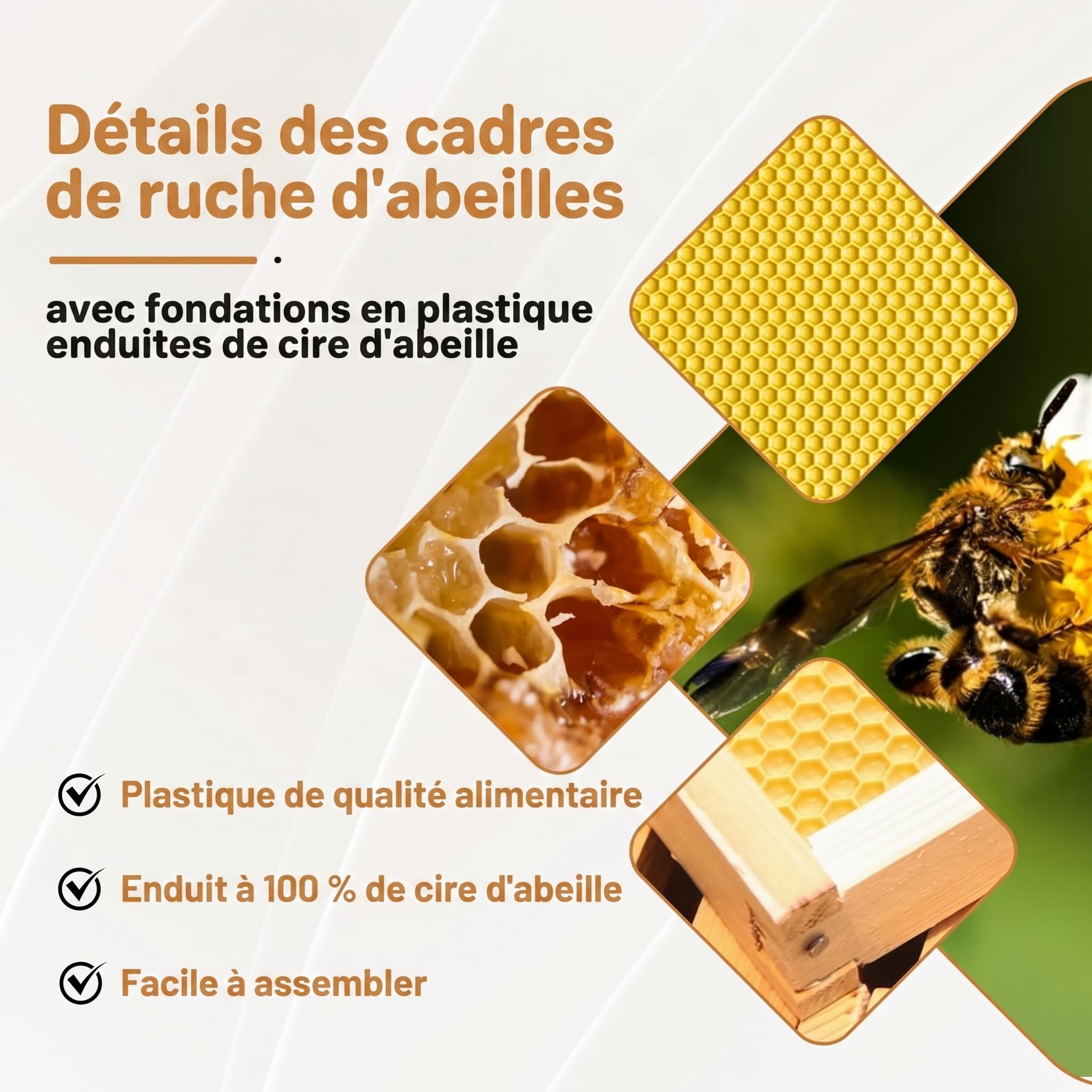 Garvee Kit de démarrage apiculture Langstroth 10 cadres – 2 hausses profondes, 1 moyenne – Cadres et fondations en cèdre enduits de cire d’abeille – Pour apiculteurs débutants et pros – Ruche