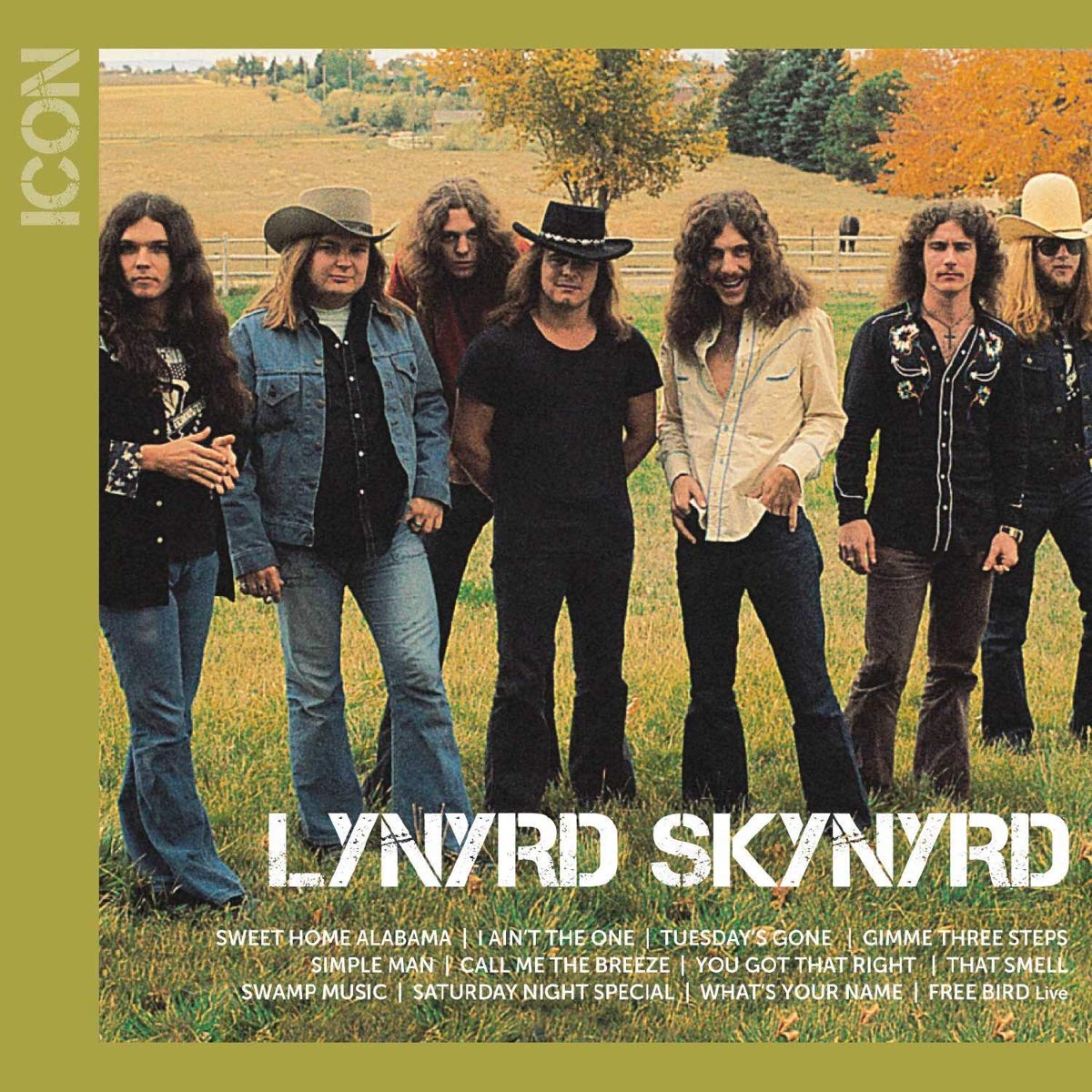 Lynyrd Skynyrd - Icon CD Album - Used