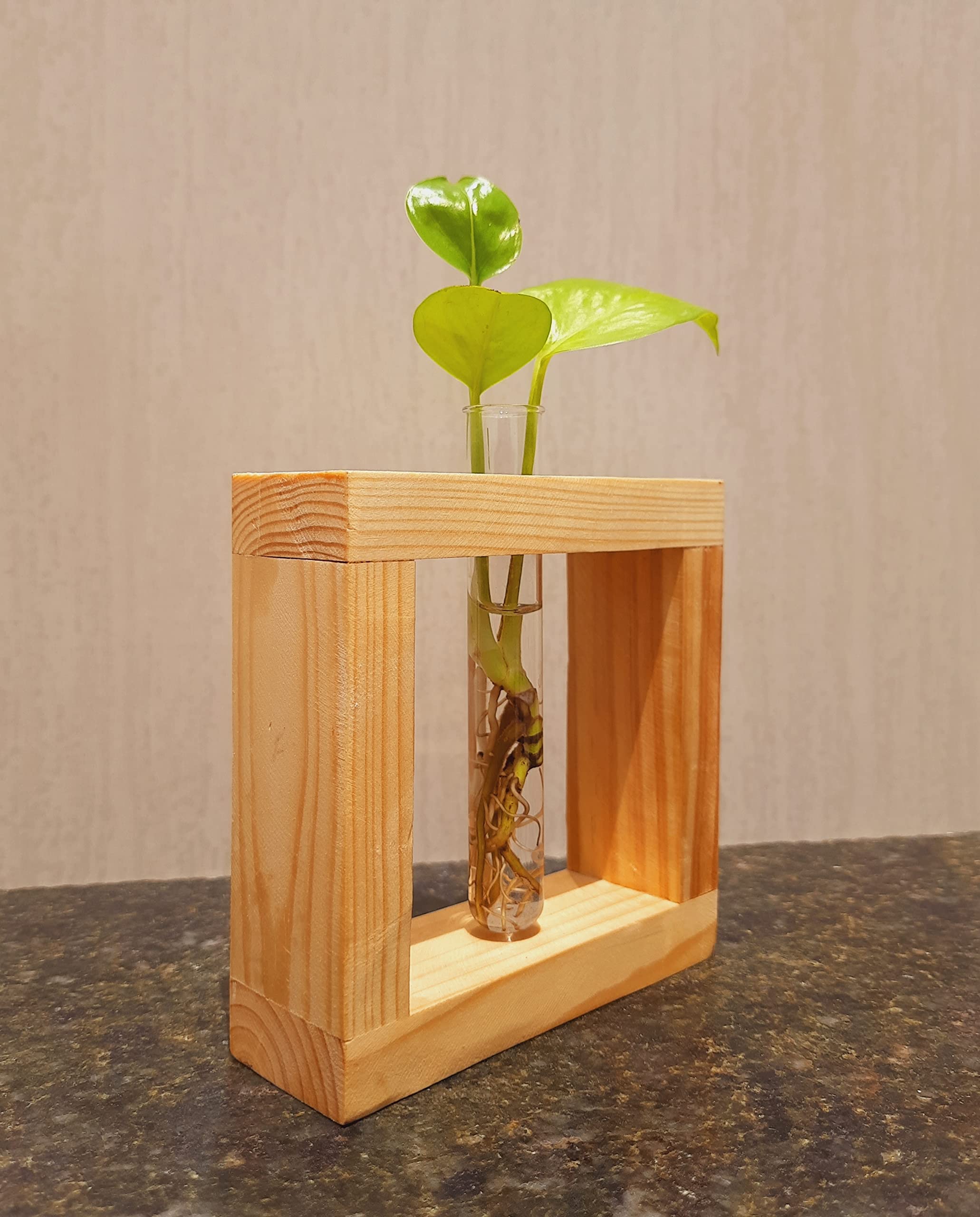 See full amazon price history chart for Queens Canvas Square Test Tube Planter Pack of 1| Planters for Home Decor | Office Decor | Table top Plants | Planters for Living Room | Decorative Plants | Planter for Gifts | Table Decor 1 Brown Queens Canvas Square Test Tube Planter Pack of 1| Planters for Home Decor | Office Decor | Table top Plants | Planters for Living Room | Decorative Plants | Planter for Gifts | Table Decor 1 Brown (B09Z8SHQKT) Amazon Price History, Amazon Price Tracker