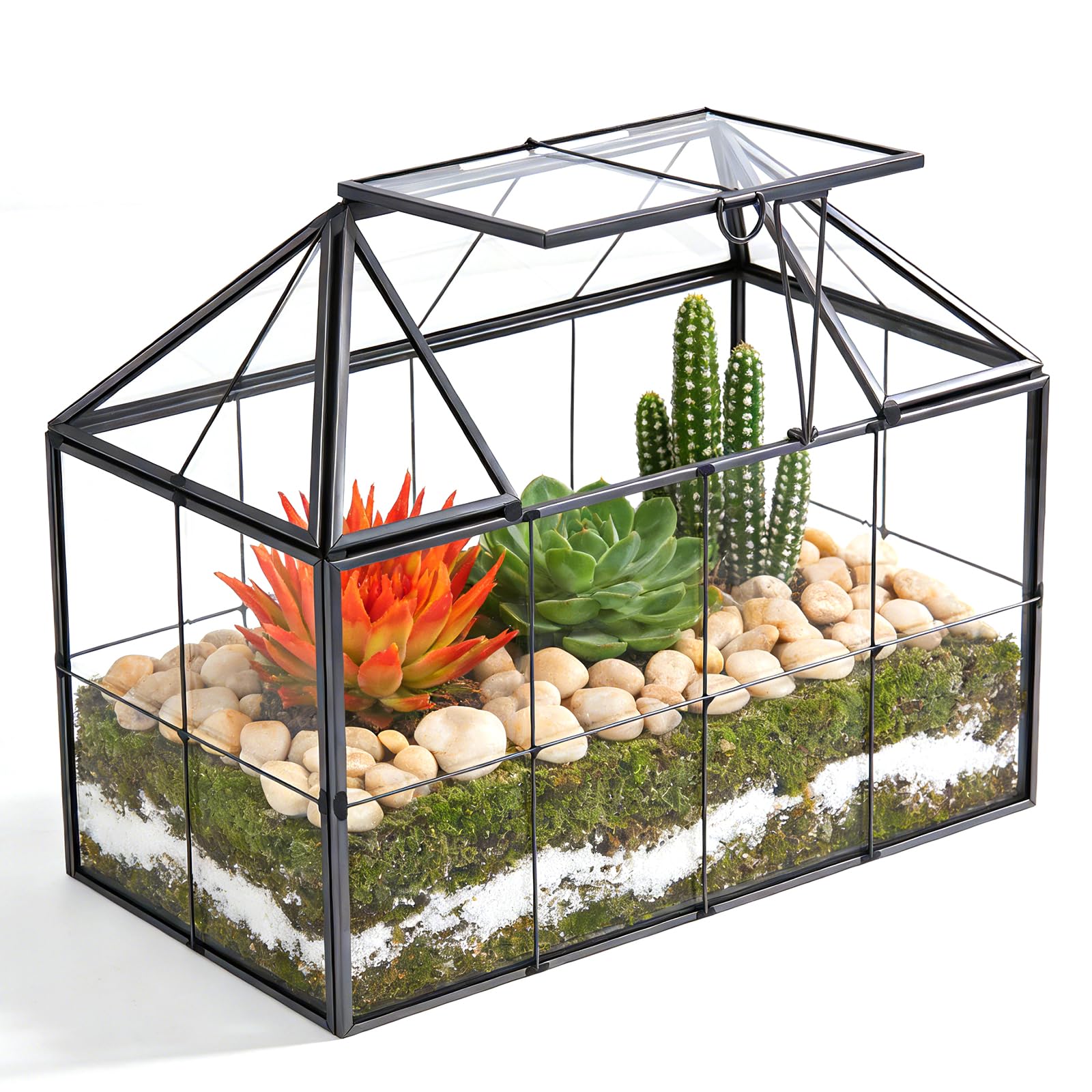 Mini serre rebord de fenêtre en verre pour plantes terrarium petit jardin en bouteille DIY