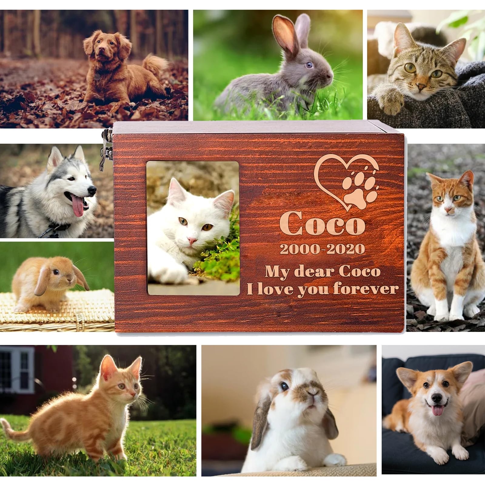 Urna in Legno per Animali Domestici Personalizzata con Nome, Data e Testo,Urna per Animali Domestici Personalizzata Scatola in Legno Souvenir Per Cani, Gatti, Conigli e Uccelli (Incisione)