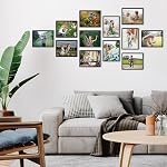 Ensemble de 18 Cadres Photo Plastique Noir Hoikwo 8,5x11 avec Couverture en Plastique, Cadres pour Certificats, Diplômes, Récompenses, Cadres Légers en Gros 8,5 par 11 pour Accrochage au Mur et Table