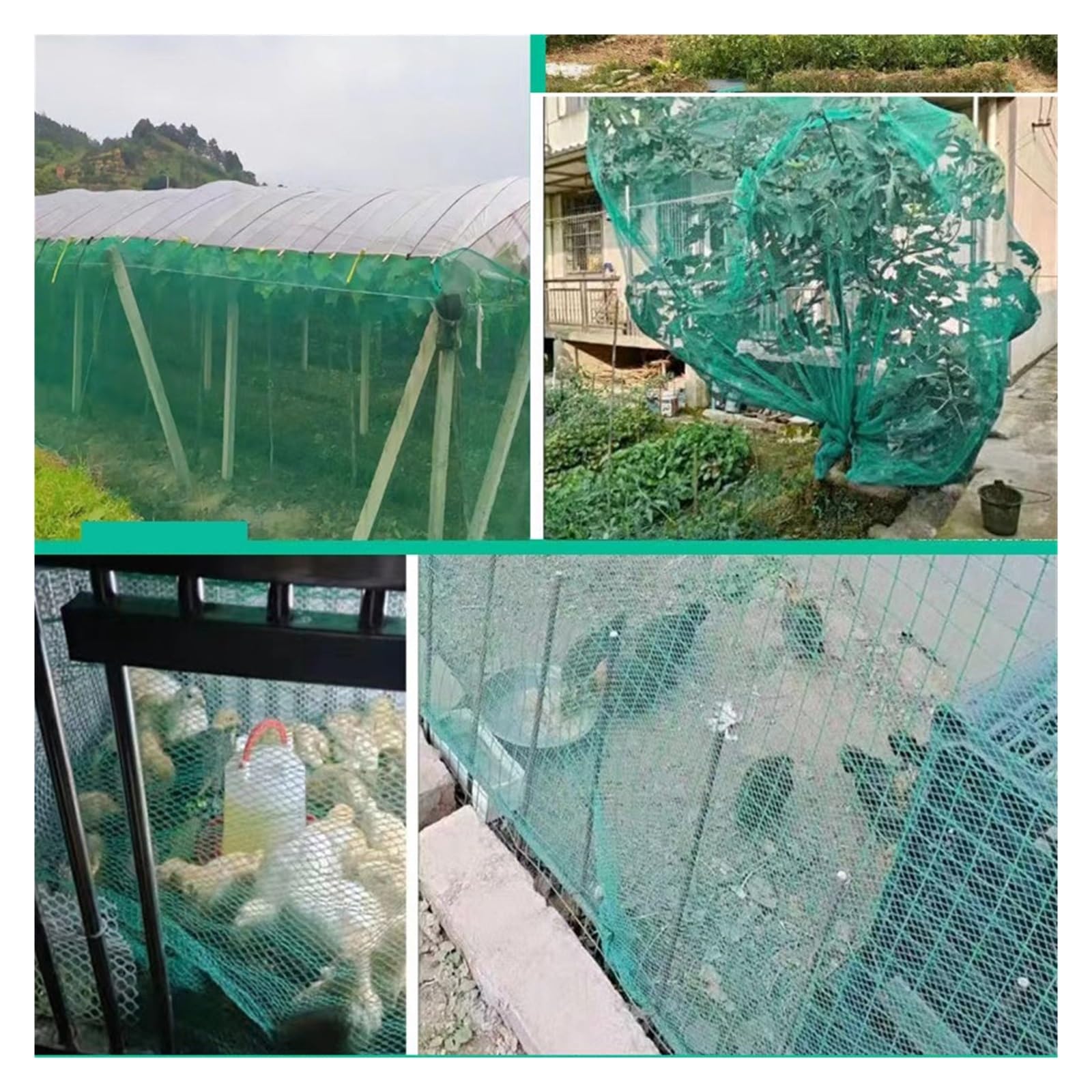 Red antipájaros de 0,5 cm, Resistente, for jardín, Plantas, pérgola, pájaros, Animales, Frutas y Verduras. para Jardín, Cultivos(4x10m)