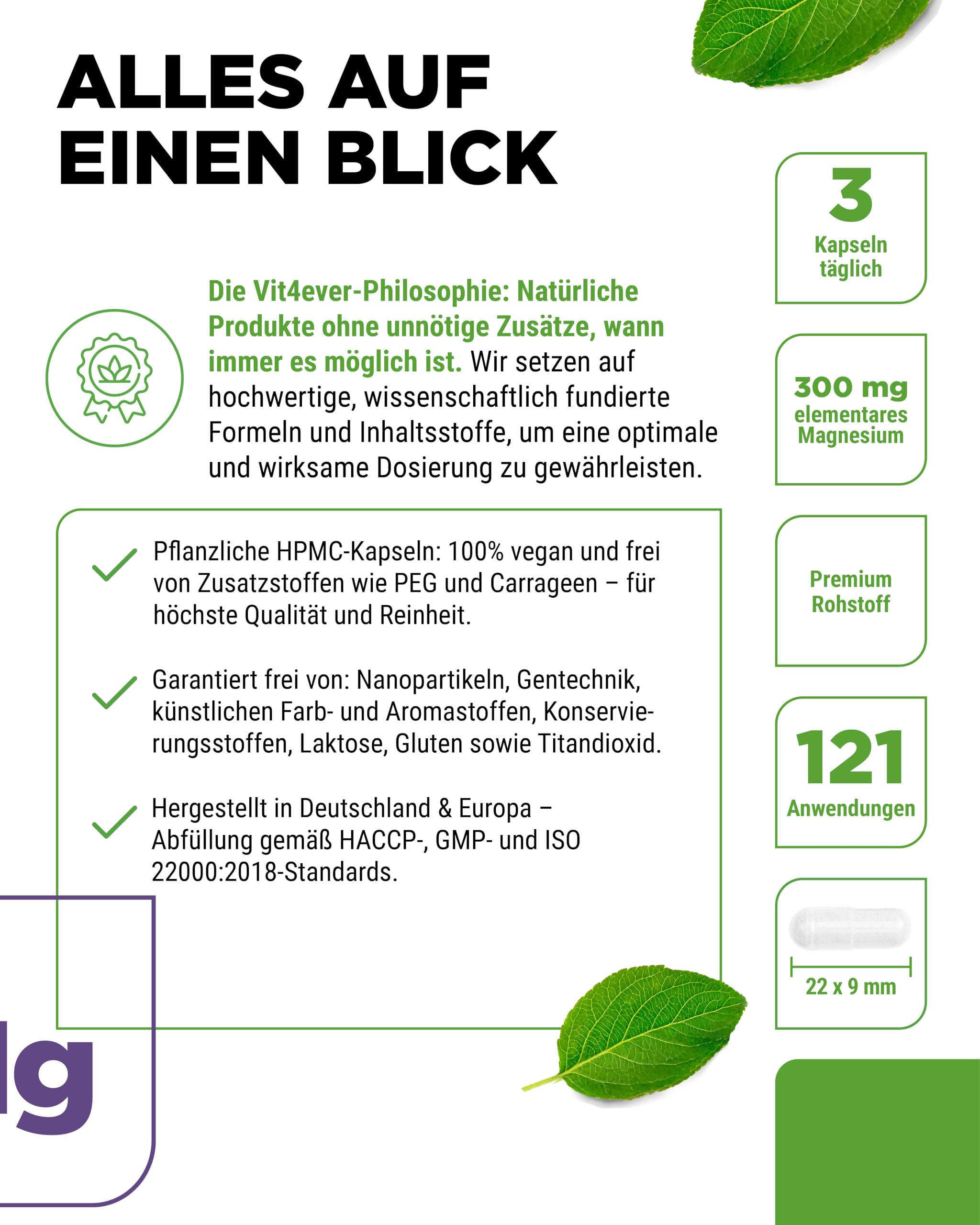 vit4ever Magnesiumbisglycinat - 365 Kapseln - 300 mg elementares Magnesium pro Tagesdosis - Premium: Chelatiertes Magnesium - Laborgeprüft, vegan, hochdosiert | 300 mg elementares Magnesium pro Tagesdosis, Premium chelatiertes Magnesium, vegan