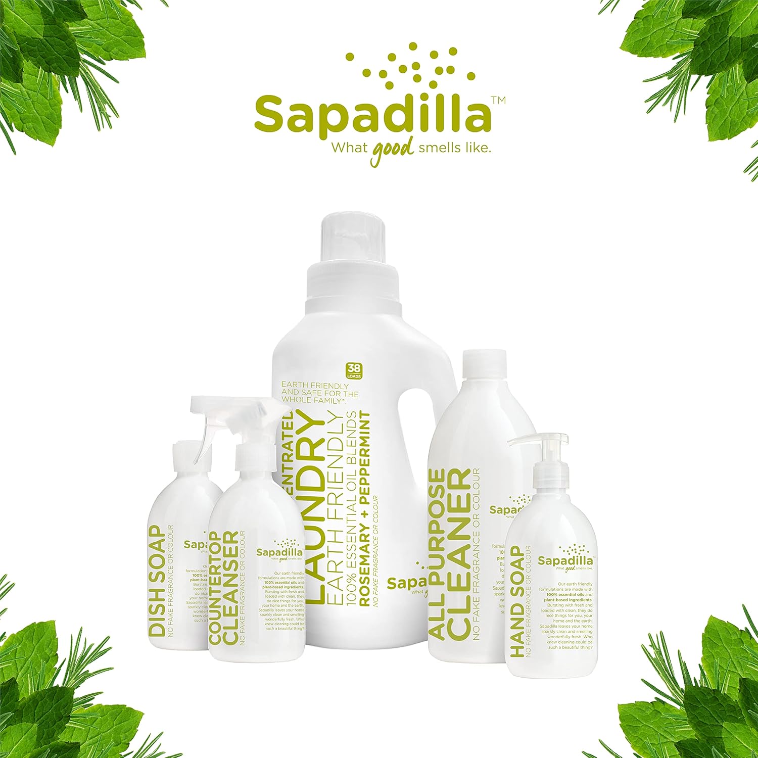 Sapadilla Rosemary + Peppermint Biodegradable All-Purpose Cleaner Concentrate, 25 Ounce : Health & Household