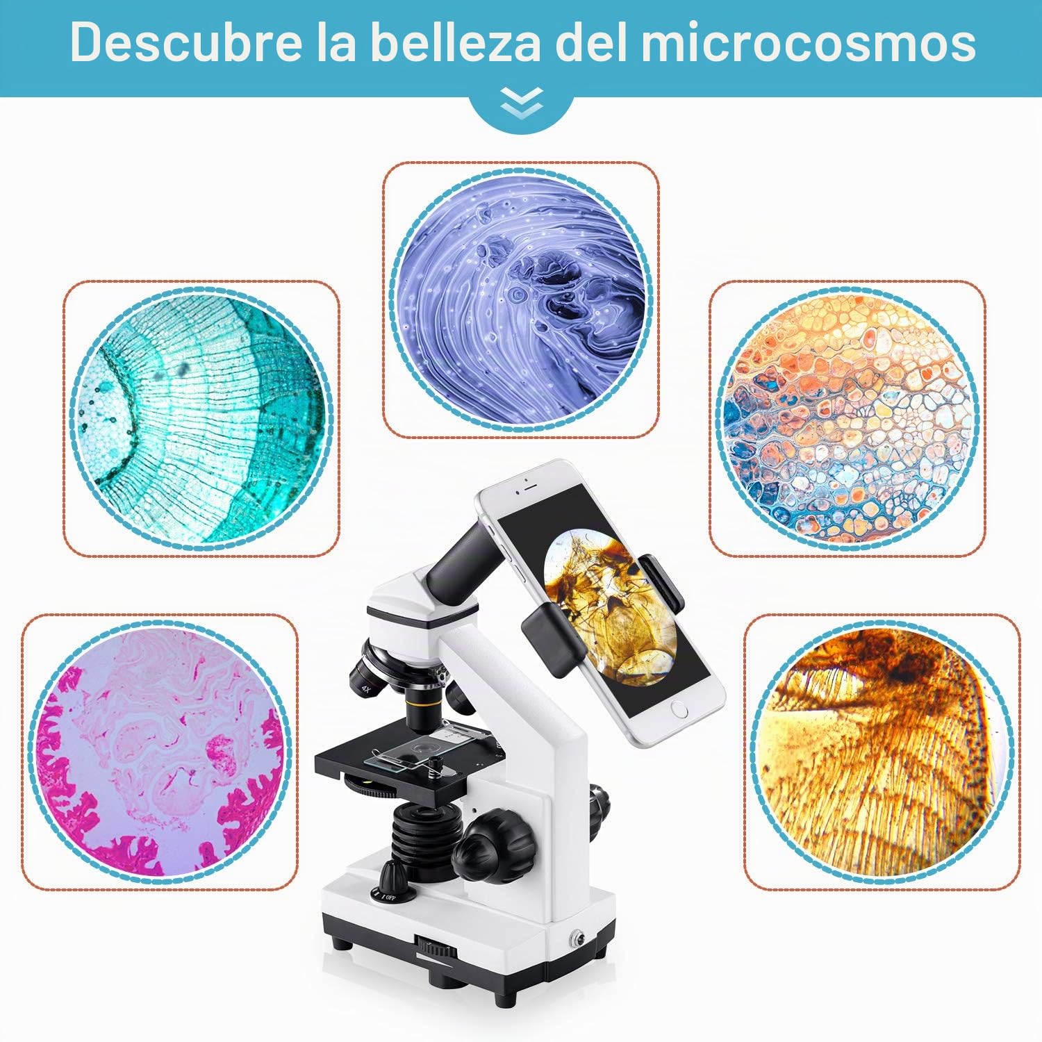 BEBANG 100X-2000X Microscopio para Niños Adultos, Profesional Biológico Microscopio para Estudiantes Escuela Laboratorio