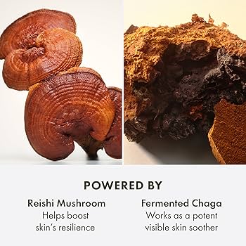 [新品未使用]オリジンズ ローション マッシュルーム 200ml × 2 メガマッシュルームリリーフ&レジリエンシースージング