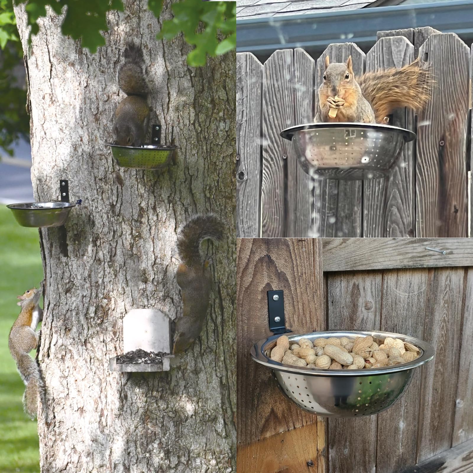 2 comederos de ardillas con colador de 8.5 pulgadas montado en árbol/valla, cuenco colador de acero inoxidable 304 extraíble, fácil de limpiar/rellenar, todos los comederos de ardillas de metal para