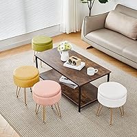 Vista 2 de Cpintltr Taburete de Terciopelo con Almacenamiento con Tapa Desmontable Redonda, Taburete de Sofá, Reposapiés con Asiento Acolchado, Estilo Moderno