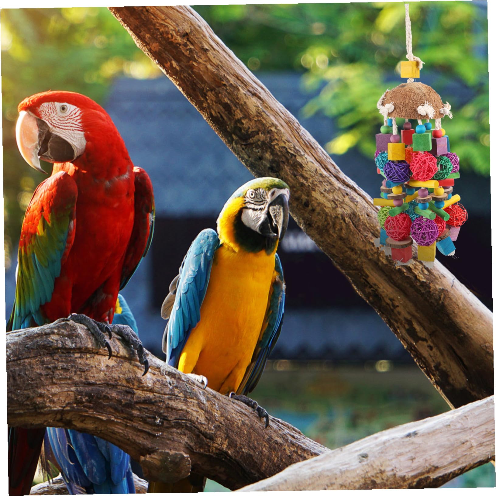 SOIMISS 1stücke Vogelspielzeug Aus Holz Zum Aufhängen Für Käfigvögel Beißspielzeug Zum Reißen Für Papageien Haustierspielzeug Zum Kauen Und Spielen