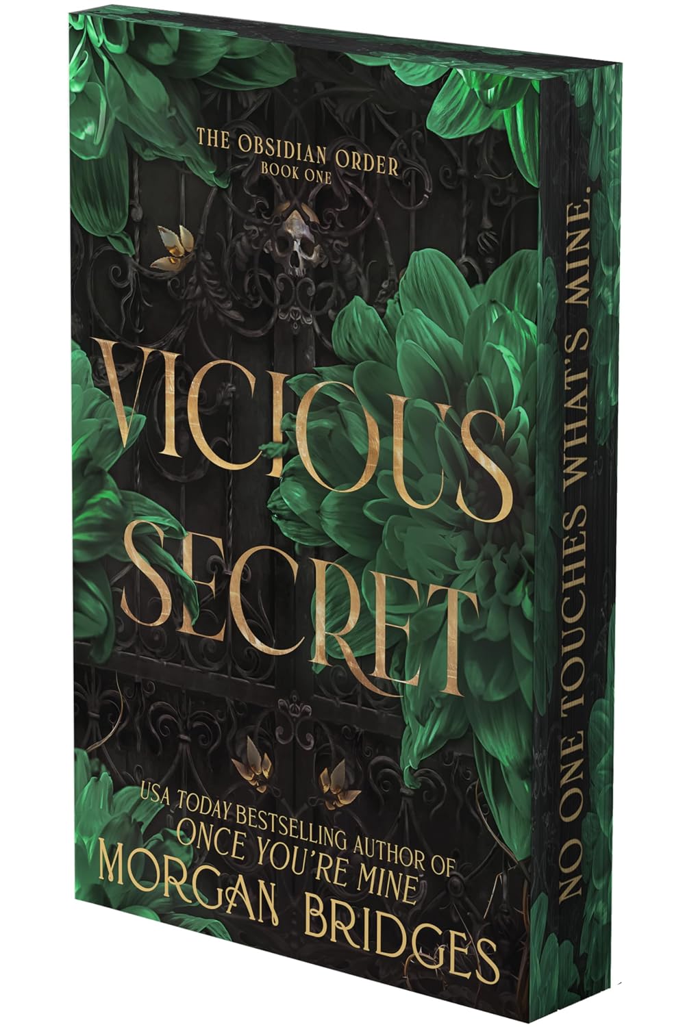 Vicious Secret: A Dark Romance (Deluxe Limited Edition) (The Obsidian Order, 1)