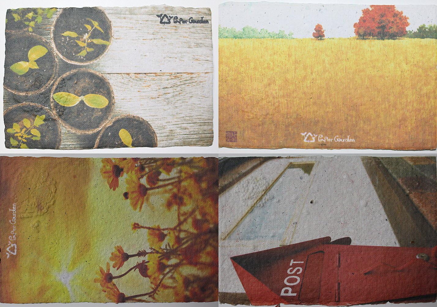 Amazing,gifts Postcards Plant,thank You Notes (Stationery, Note Cards)your Loved Ones,precious Gift,valuable,for Some Very Special Friends Gratitude,celebration, Wedding Invitation Card, Christmas ,Season, Holiday, Greeting Card, Party Invitations with 4 Different Images