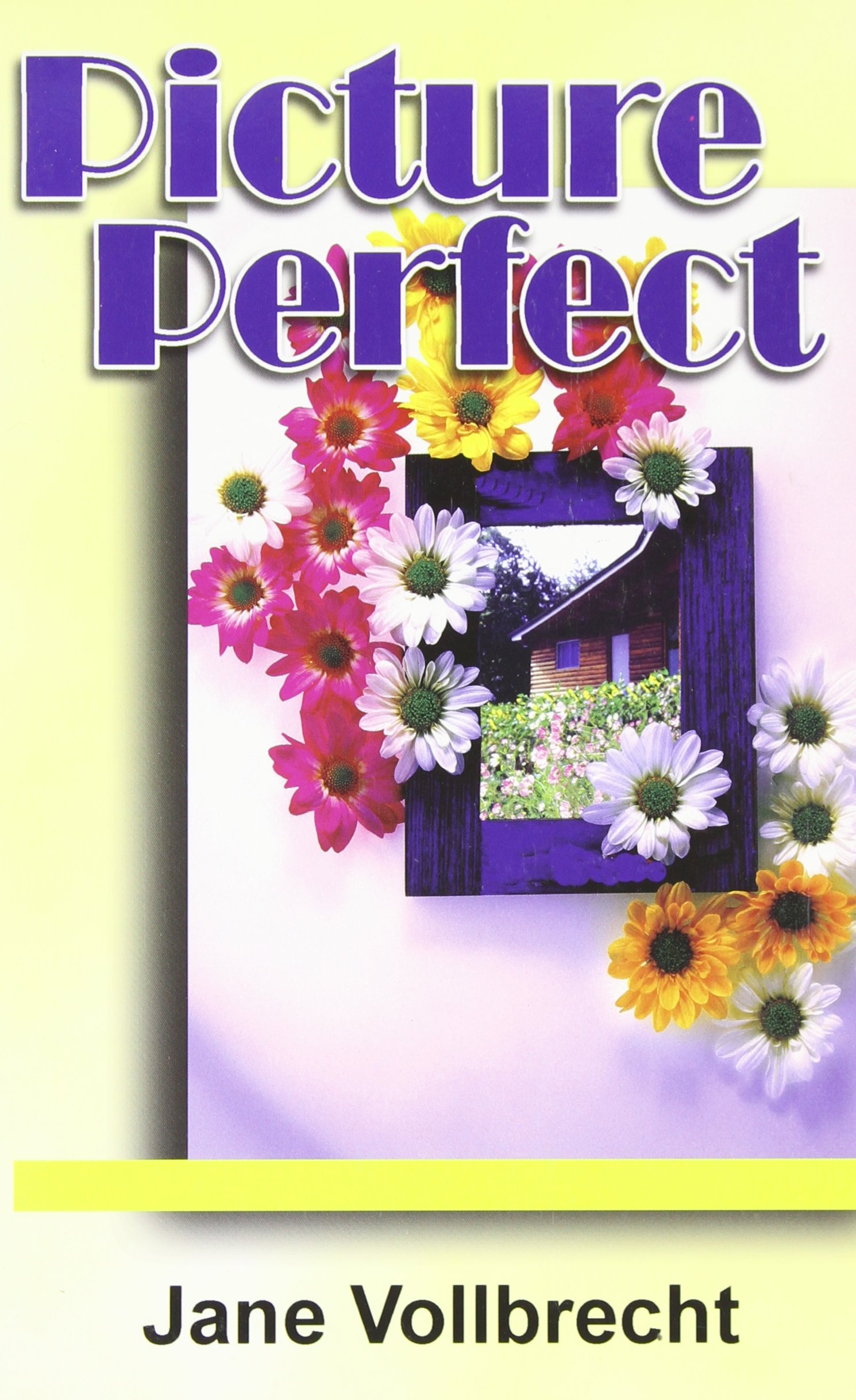 Buy Picture Perfect — BookShops.in