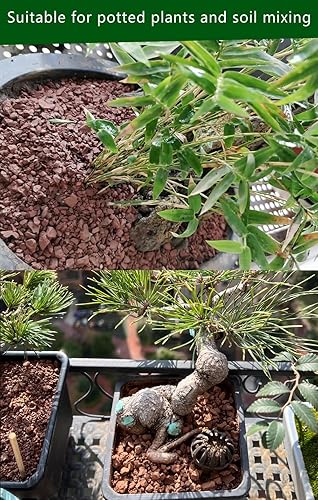 Miniatura 5 de Aditivo de suelo de arcilla calcinada para horticultura Bonsái Cactus para plantas suculentas (suelo más grande, 10 libras)