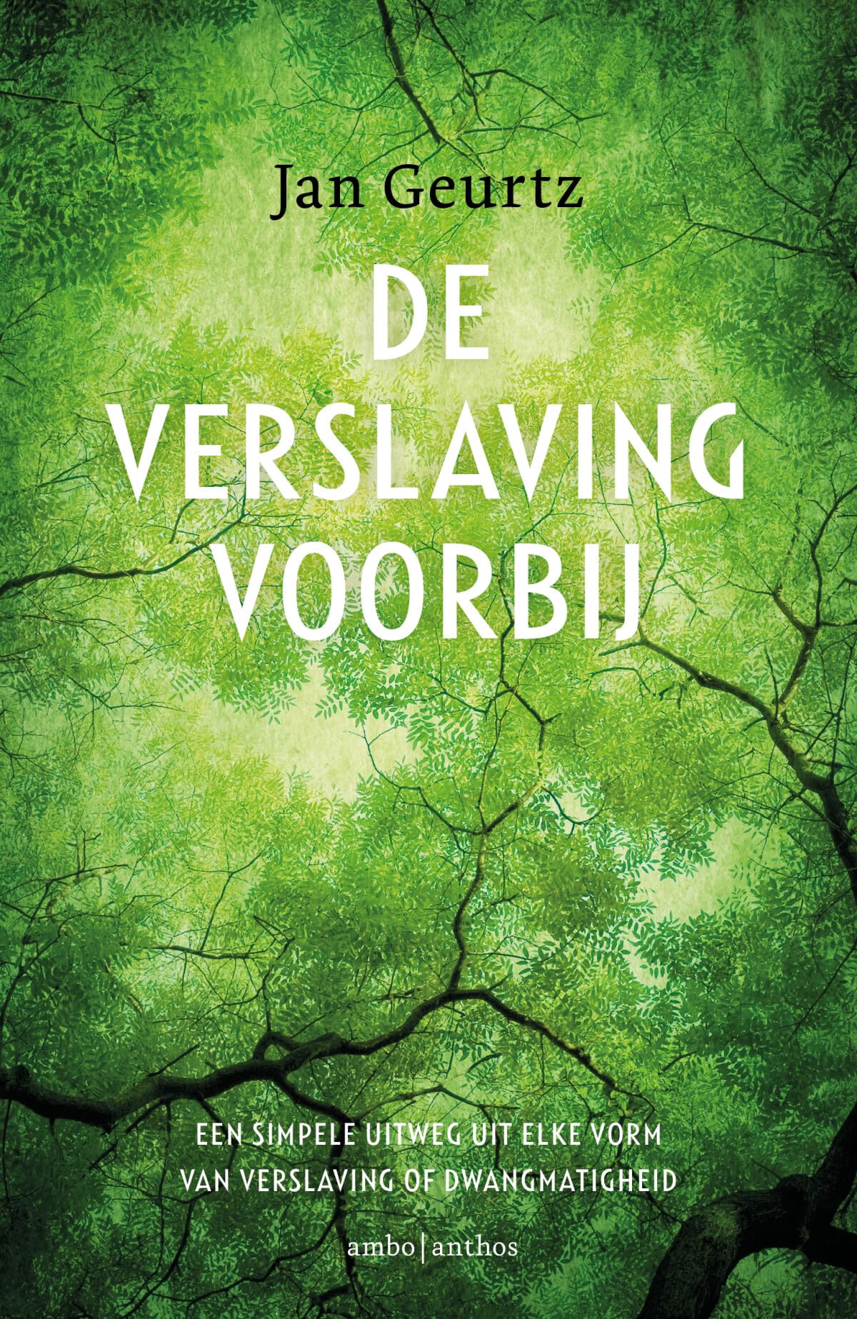 De verslaving voorbij: een simpele uitweg uit elke vorm van verslaving of dwangmatigheid