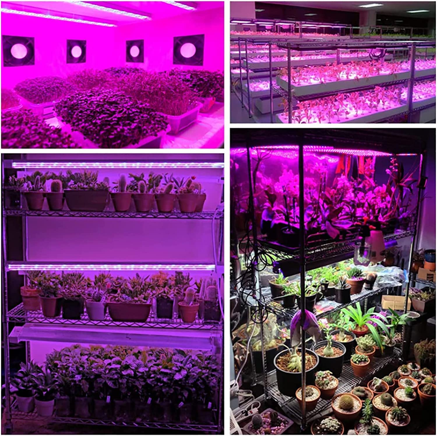 Derlights 植物育成ライト、8個セット、暖色系、384個のLEDチップ、フルスペクトル、タイマー機能（4/8/12時間）、10段階調光、8つの照明モード、野菜、多肉植物、室内栽培に最適 Amazon.co.jp: 植物育成ライト 8本セット 暖色系 384個LEDチップ フル