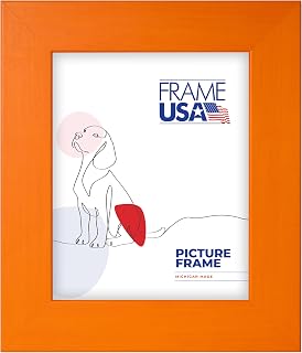 Frame USA 8x10 Picture Frame, Orange, Colori Large Series, Photo Frame with High Clarity Glass and Easel for Shelf Display