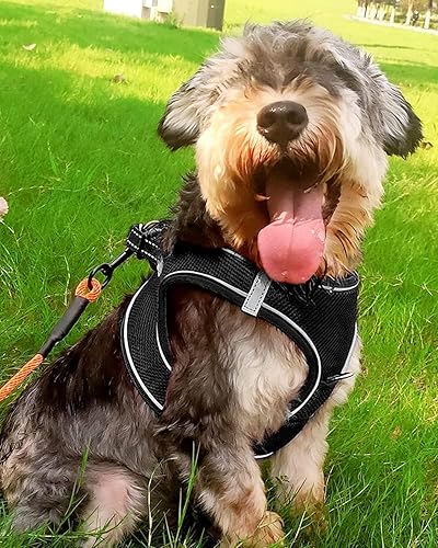 Vista 137 de Joytale arnés para perro, 12 colores, chaleco de malla transpirable, arnés acolchado suave reflectante para perros medianos, negro, XL.