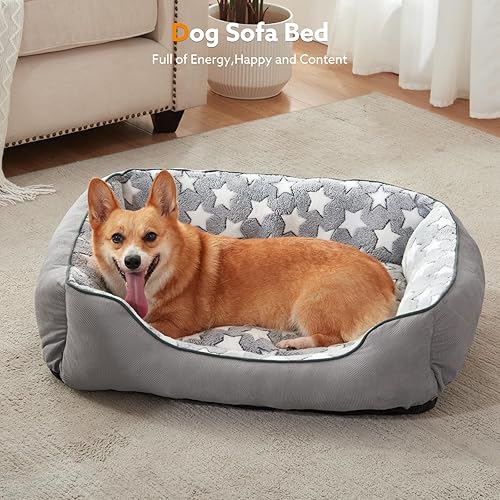 Miniatura 7 de SIWA MARY Cama rectangular para perros pequeños y medianos, cama calmante para perros de tamaño mediano, sofá cama ortopédica para perro, cama