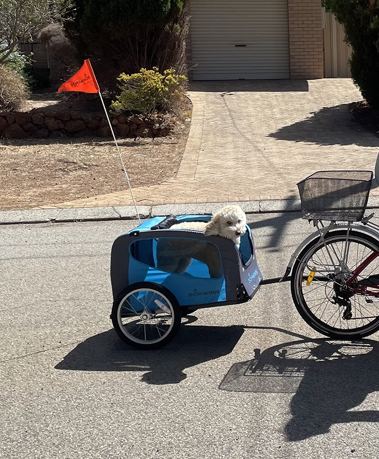 Schwinn Dog Trailer Large Schwinn Rascal Bike Pet Trailer Large Dog Bike  Trailer For Small
