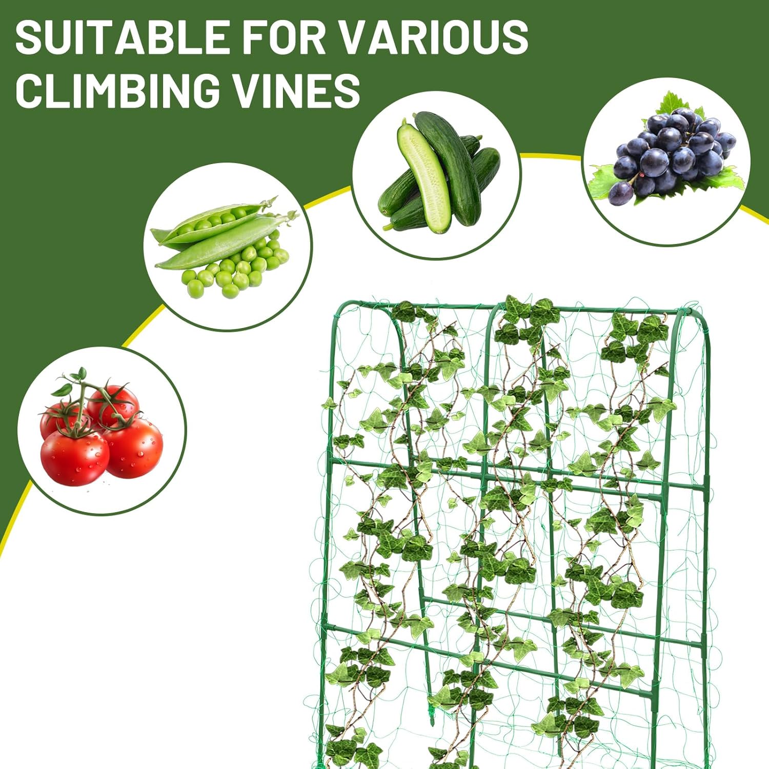Compact U-Shaped Plant Trellis for Peas, Beans & Light Climbing Plants - Rust-Resistant, Foldable Design, Lightweight Steel, Ideal for Raised Beds & Patio Gardens(31" W x 47" H)
