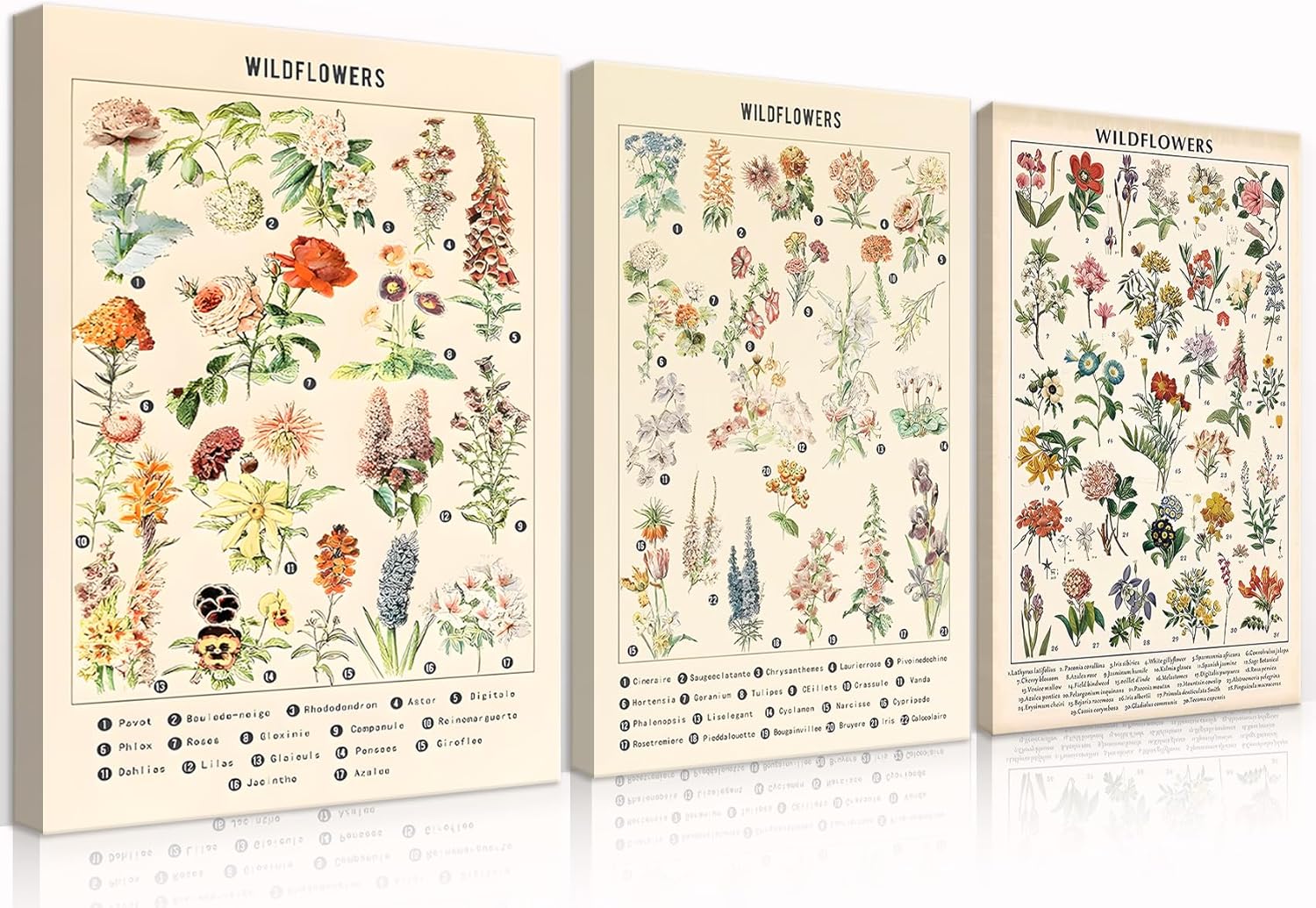 3Pcs Vintage Wildflowers Botanical Canvas Wall Art Colorful Rustic Style of Floral Picture Prints Farmhouse Style Illustrative Reference Flower Chart Painting Wall Decor(12x16in Wrapped Canvas)