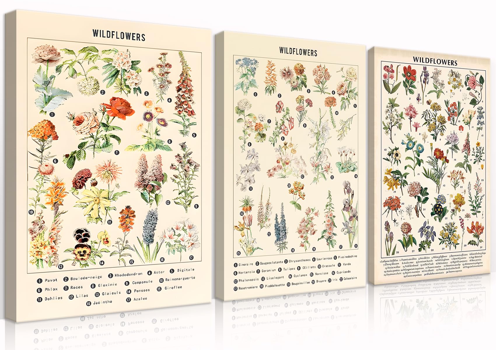 LMYSXAOZ 3Pcs Vintage Wildflowers Botanical Canvas Wall Art Colorful Rustic Style of Floral Picture Prints Farmhouse Illustrative Reference Flower Chart Painting Decor(12x16in Wrapped Canvas)
